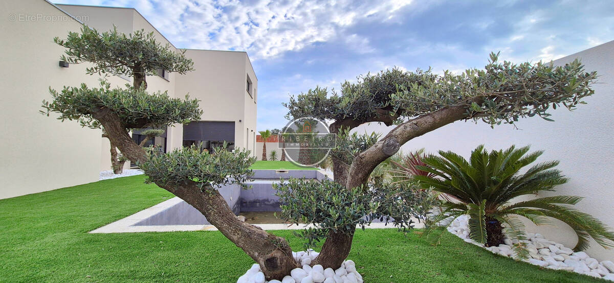 trouvez la maison à rénover idéale au grau d'agde ! découvrez nos annonces exclusives pour l’achat de biens à rénover, au meilleur prix, dans un cadre privilégié proche de la mer.