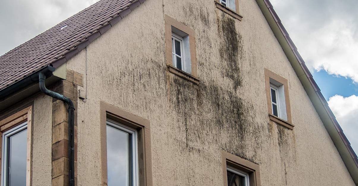 découvrez tout ce qu’il faut savoir sur la façade : conseils, tendances, matériaux et astuces pour rénover ou embellir l’extérieur de votre maison.