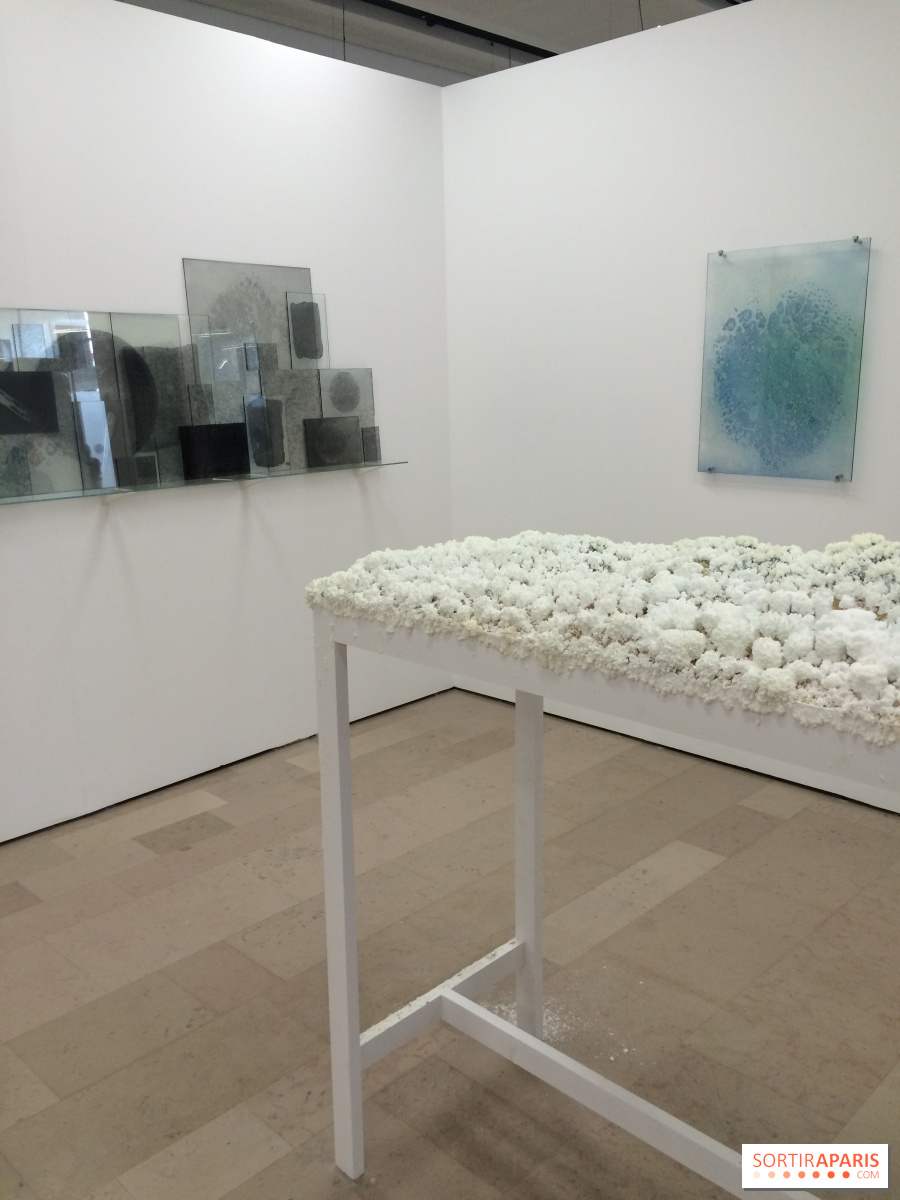 découvrez l'importance de la rénovation à montrouge en 2025. explorez les enjeux urbains, économiques et environnementaux qui font de cette ville un modèle de transformation durable et d'innovation. préparez-vous à un avenir rénové et dynamique à montrouge.