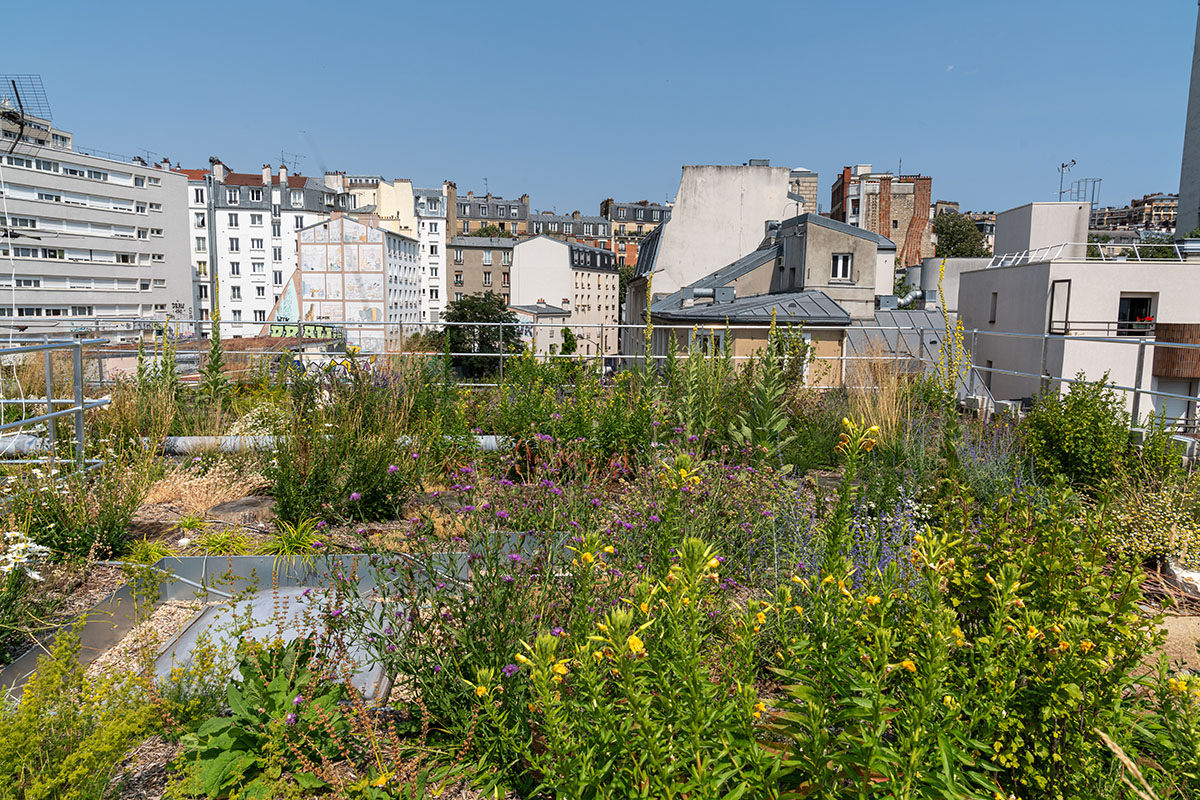 découvrez les tendances et astuces pour la rénovation de votre maison dans le 20e arrondissement de paris en 2025. transformez votre espace de vie avec style et modernité grâce à nos conseils d'experts.
