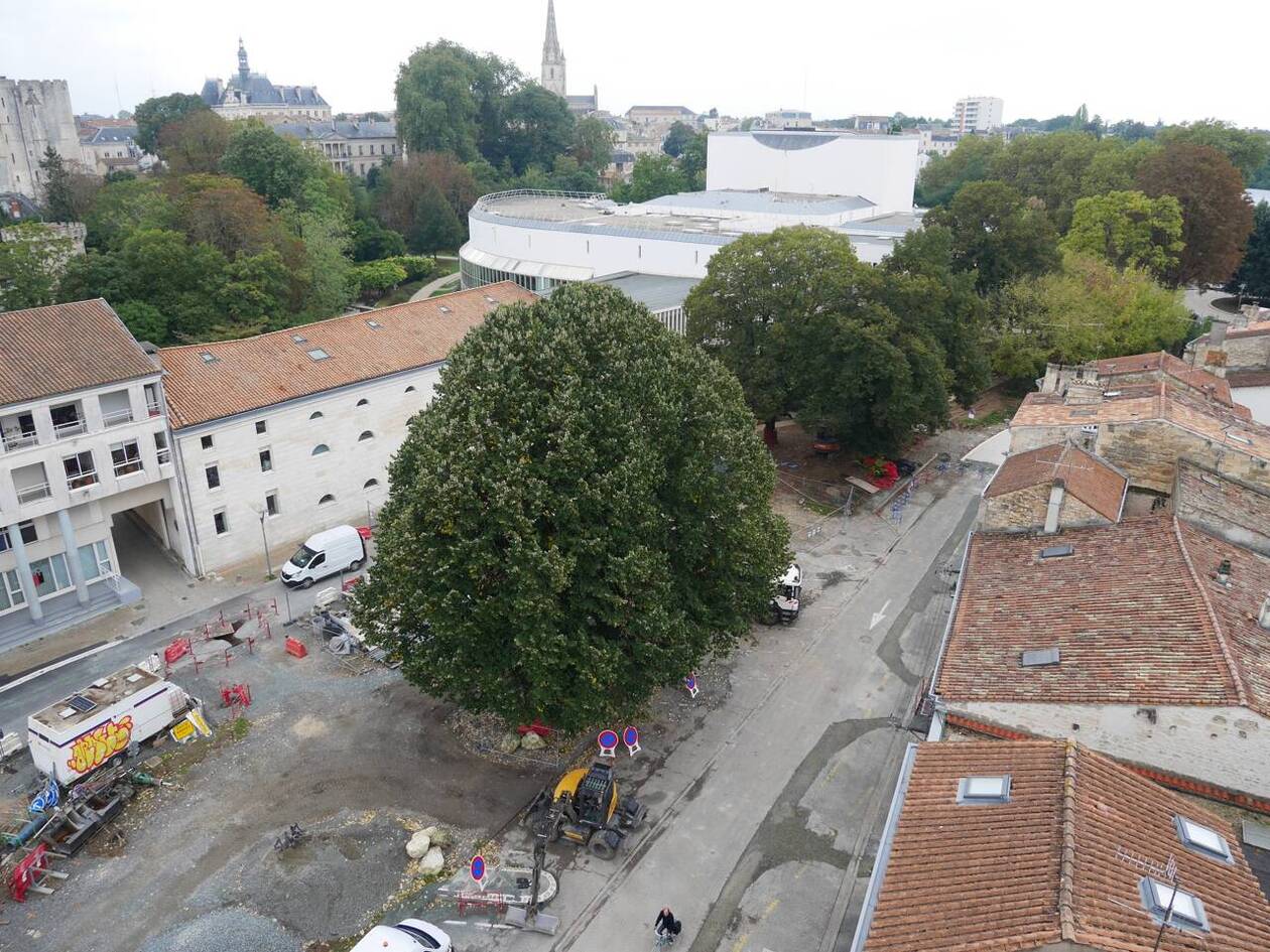 découvrez les tendances et conseils pour la rénovation de votre maison à sèvres en 2025. transformez votre espace de vie avec des solutions modernes et durables qui allient esthétisme et fonctionnalité.