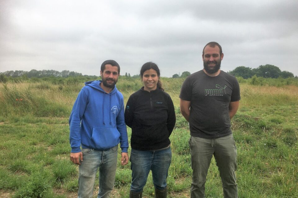 découvrez le guide complet de chevannes 91750 : informations pratiques, histoire, vie locale, services, activités et adresses utiles pour bien vivre à chevannes.