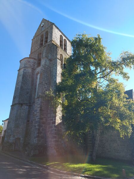 découvrez courances (91490), un charmant village de l’essonne réputé pour son château, ses jardins majestueux et son authenticité. un lieu idéal à visiter pour les amateurs de patrimoine et de nature.