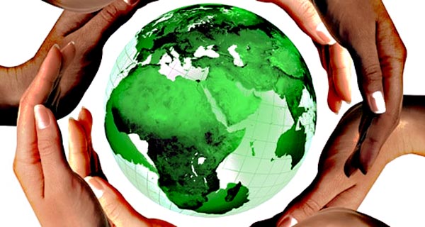 découvrez les principes de l'écologie, ses enjeux actuels et les actions à adopter pour préserver l'environnement et favoriser un développement durable.