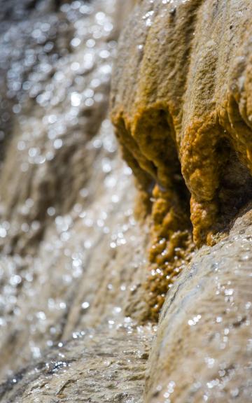 découvrez les atouts de fontaine-la-rivière : cadre naturel préservé, patrimoine historique et qualité de vie exceptionnelle. explorez ce village charmant de l’essonne !