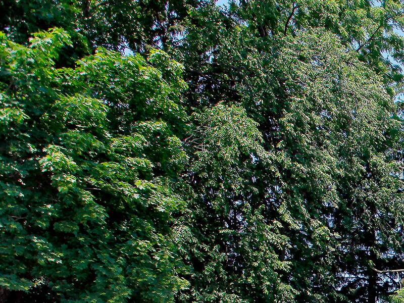 découvrez les différentes méthodes et coûts pour hausser une maison. obtenez des conseils d'experts sur la surélévation, les avantages, les étapes clés et les démarches à suivre pour réussir votre projet.