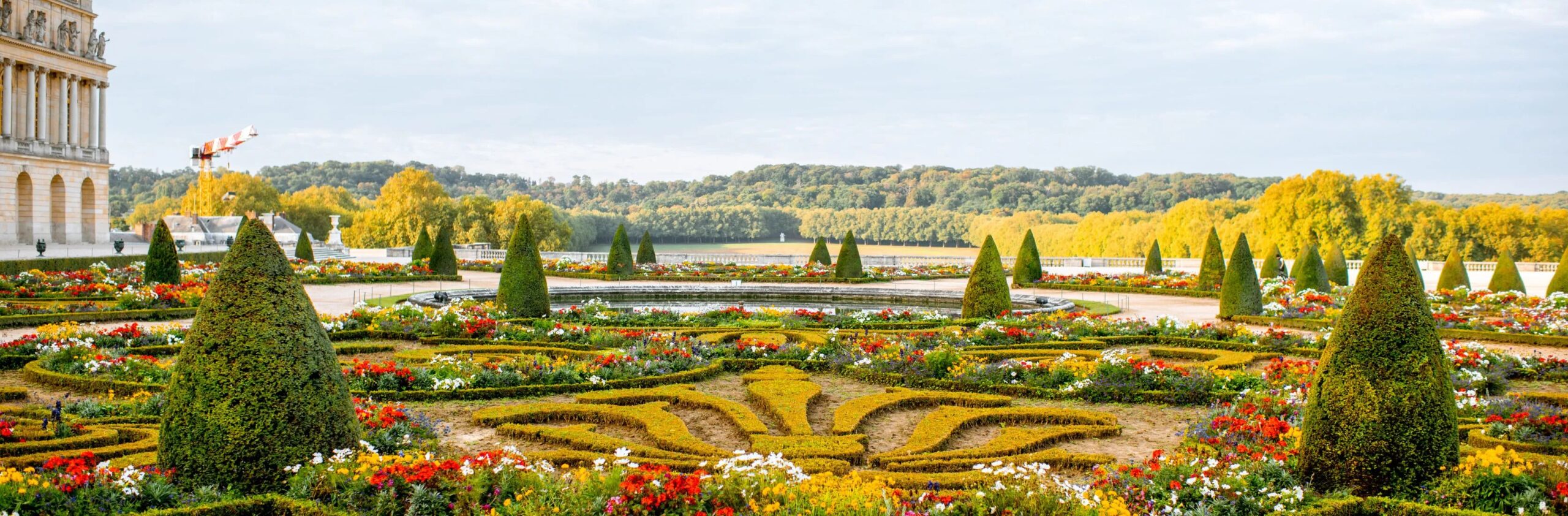 découvrez des conseils, idées d’aménagement et astuces pour entretenir votre jardin toute l’année. apprenez à créer un espace vert accueillant, fleuri et harmonieux adapté à vos envies.