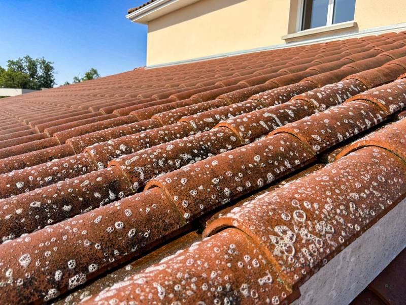 découvrez le prix d'une toiture de 120m2 : estimations, conseils, facteurs influençant le coût et astuces pour comparer les devis afin de réaliser vos travaux en toute sérénité.