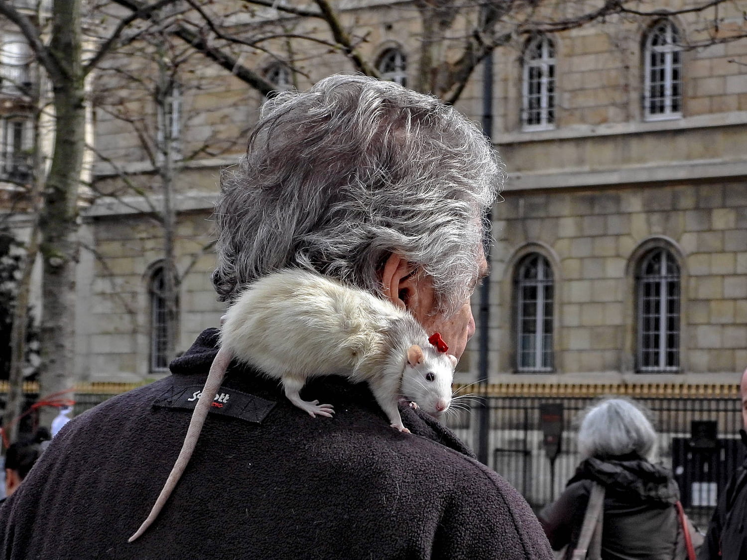découvrez les principaux problèmes auxquels paris est confrontée aujourd'hui : logement, circulation, pollution, sécurité et qualité de vie. informez-vous sur les enjeux actuels de la capitale française.