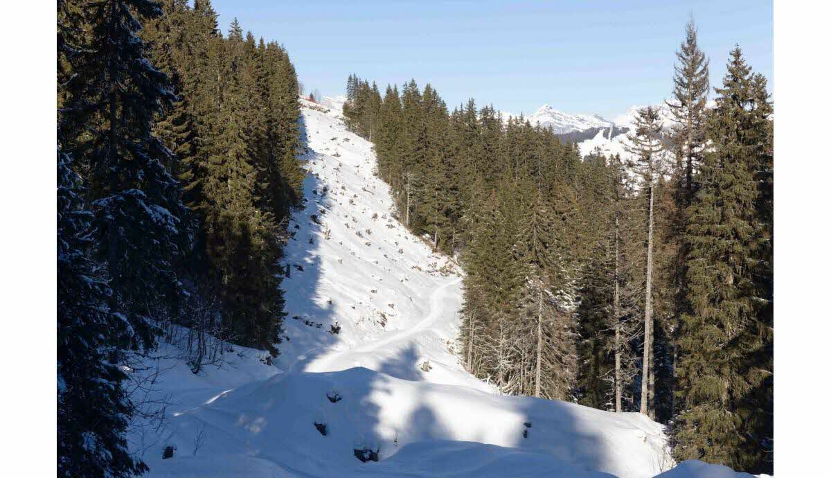découvrez le projet rochebrune : un programme innovant alliant modernité, durabilité et cadre exceptionnel. idéal pour investir ou vivre, au cœur d’un environnement naturel préservé.