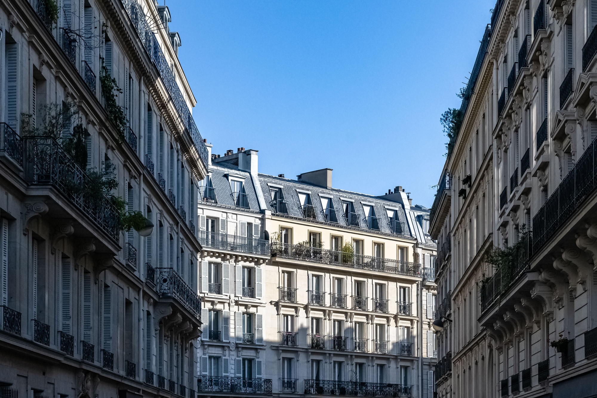 confiez la rénovation de votre appartement à paris en 2025 à des experts. conseils, astuces et solutions sur mesure pour transformer votre intérieur selon vos envies et votre budget.