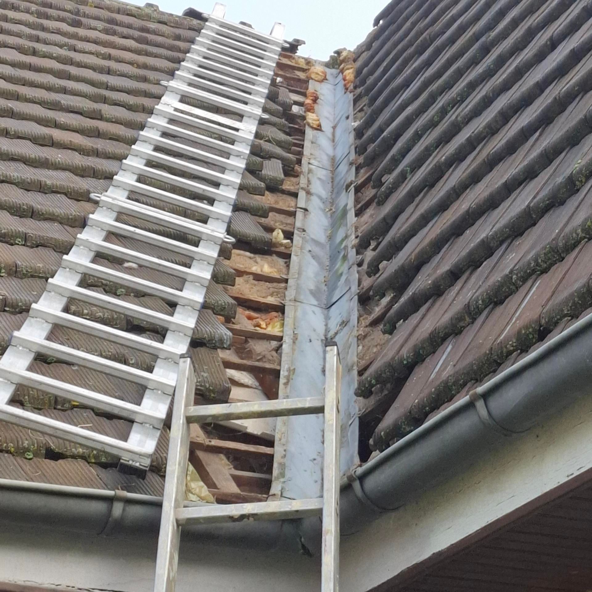 vous envisagez la rénovation de votre cuisine à écouen ? découvrez nos solutions sur mesure pour moderniser, optimiser et décorer votre espace culinaire. devis gratuit et conseils personnalisés.