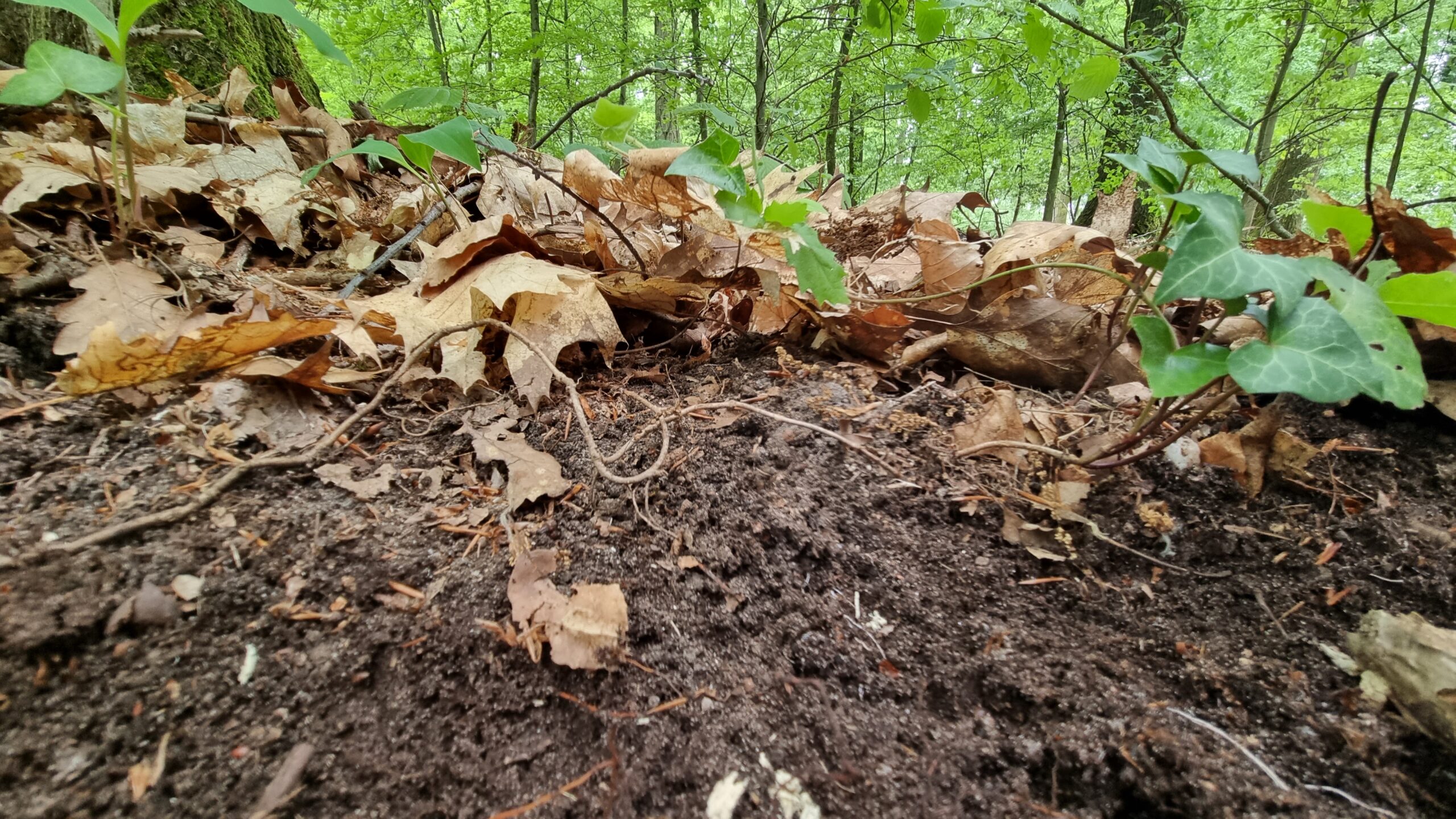 découvrez tout ce qu’il faut savoir sur les sols : types, composition, entretien et astuces pour choisir le revêtement idéal pour chaque pièce de votre maison ou de votre espace professionnel.