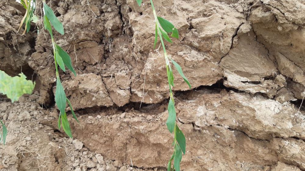 découvrez tout sur les sols : types, caractéristiques, conseils d'entretien et astuces pour choisir le revêtement idéal selon vos besoins et votre espace de vie.