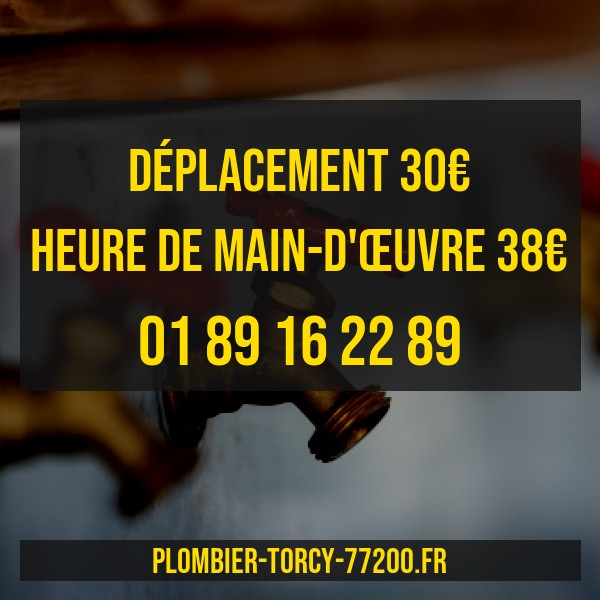 découvrez les tarifs d’un plombier pour tous types d’interventions : dépannage, installation, urgence ou rénovation. obtenez une estimation claire des prix pratiqués et des conseils pour choisir un plombier au meilleur rapport qualité/prix.