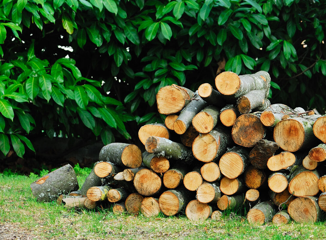 découvrez tout ce qu'il faut savoir sur le coût du bois : facteurs de prix, types de bois, comparaisons et conseils pour optimiser votre budget lors de vos achats ou travaux en bois.