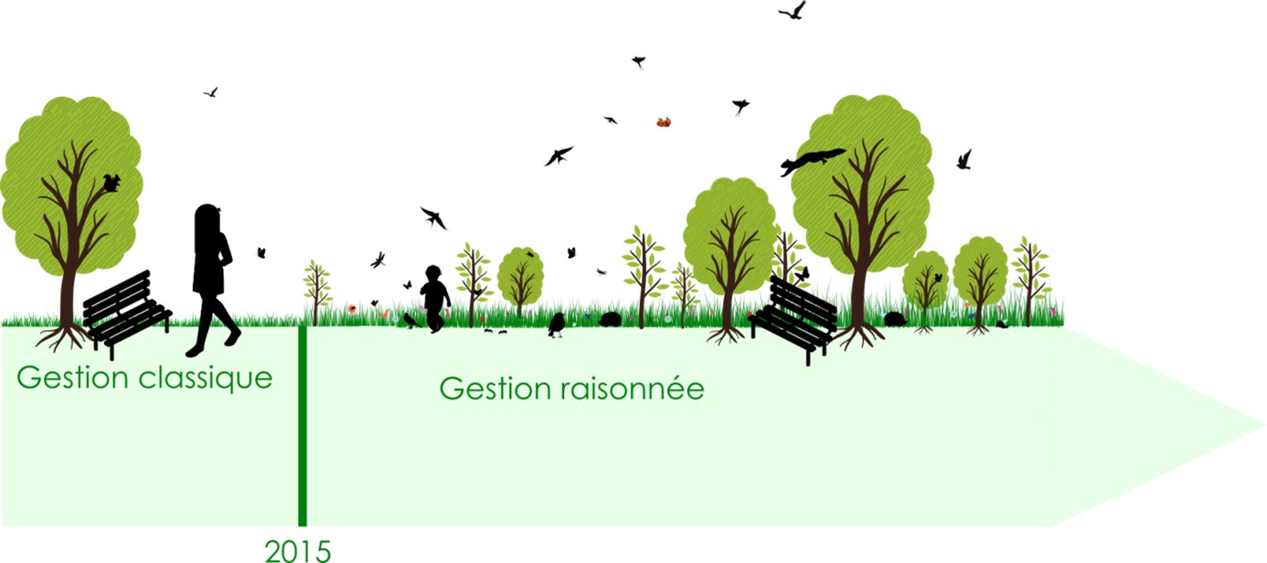 découvrez les meilleures solutions et tendances 2025 pour la gestion des espaces verts : maintenance, innovations écologiques et conseils pratiques pour des environnements urbains durables.