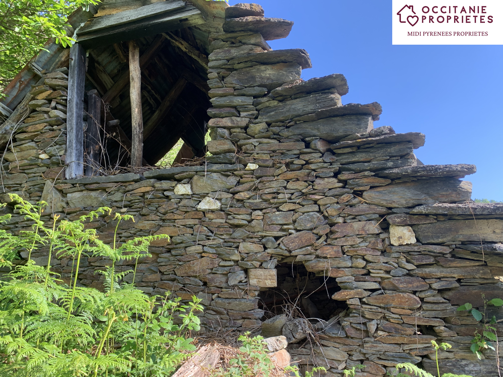 découvrez une grange à vendre près de paris, idéale pour un projet de rénovation ou d’aménagement. profitez d’un environnement paisible à seulement quelques minutes de la capitale. opportunité rare à saisir !