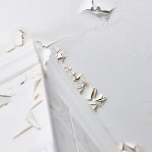 découvrez le prix moyen pour repeindre 50m2, les facteurs qui influencent le coût et nos conseils pour estimer votre budget de travaux de peinture en toute simplicité.