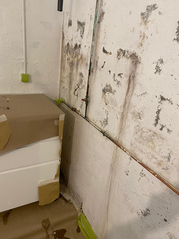 redonnez vie à vos murs avec notre service de rafraîchissement peinture. profitez d’un intérieur éclatant et harmonieux grâce à des finitions professionnelles et des couleurs modernes adaptées à votre style.