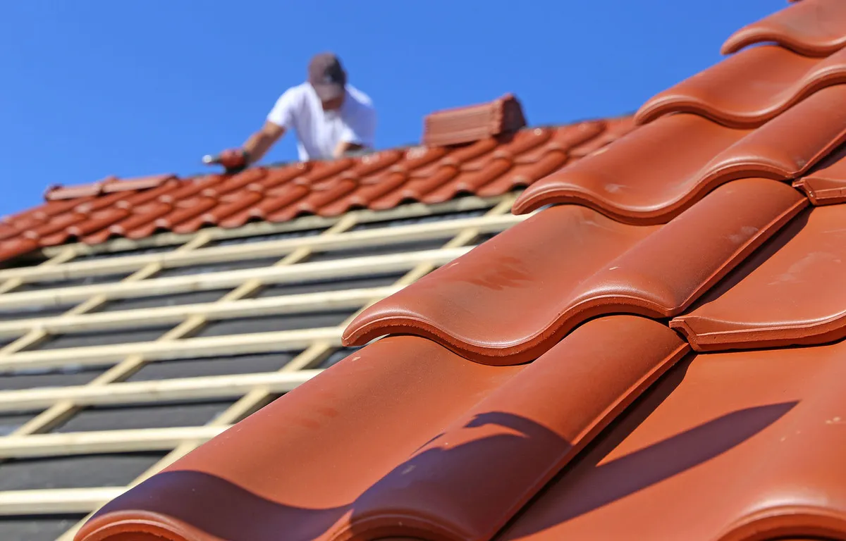 découvrez tout sur les toitures : conseils pour l'installation, l'entretien, la rénovation et le choix des matériaux adaptés à votre maison. optimisez la durabilité de votre toit grâce à nos astuces d'experts.