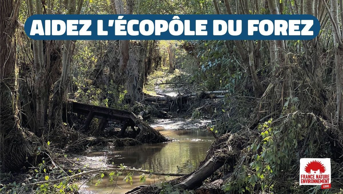 découvrez comment financer et réaliser des travaux de rénovation ou d’aménagement avec un budget de 10.000 euros. conseils, astuces et idées pour optimiser votre investissement et améliorer votre habitat efficacement.