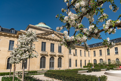 découvrez un architecte à versailles pour sublimer votre espace avec des designs uniques et élégants, alliant fonctionnalité et esthétique.