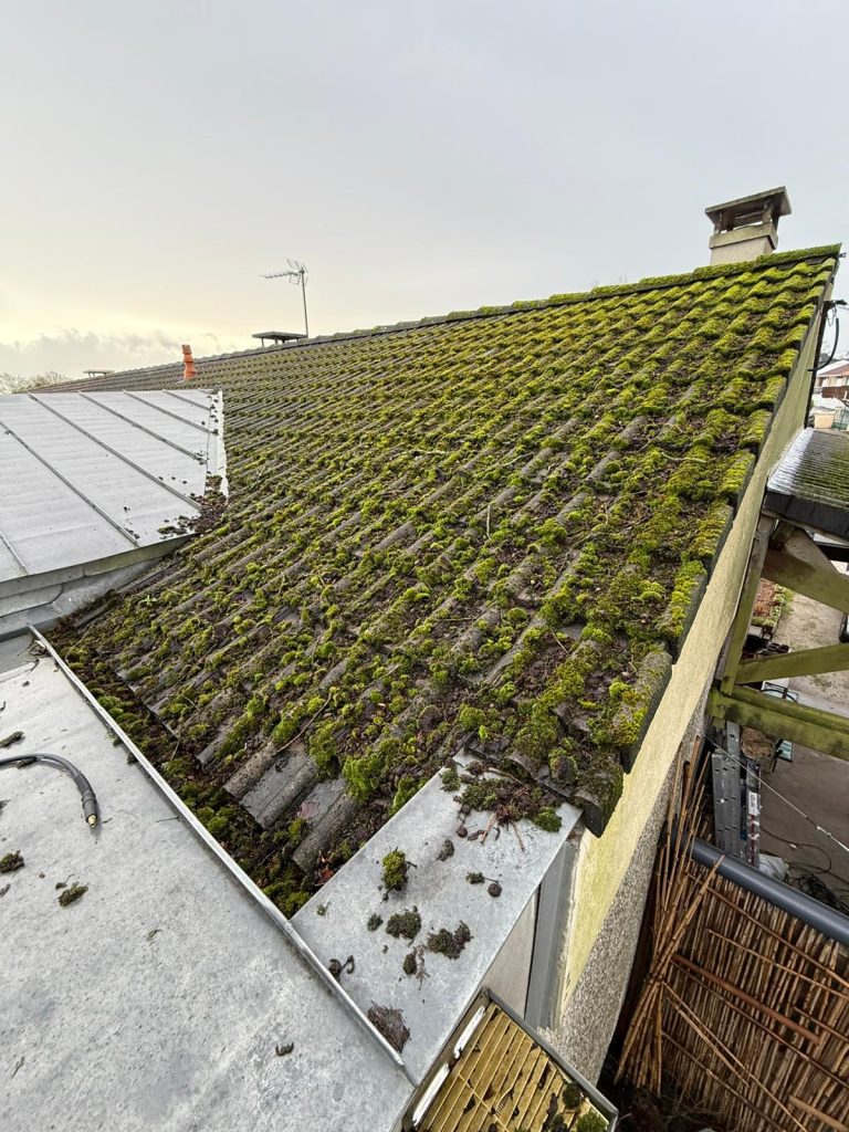 découvrez le coût du nettoyage de toiture, les facteurs qui influencent les prix et comment choisir le meilleur service pour entretenir efficacement votre toit.