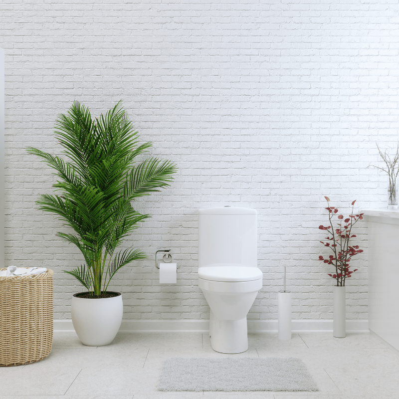 découvrez le coût pour refaire vos toilettes, incluant les matériaux, la main-d'œuvre et les conseils pour un projet réussi et économique.