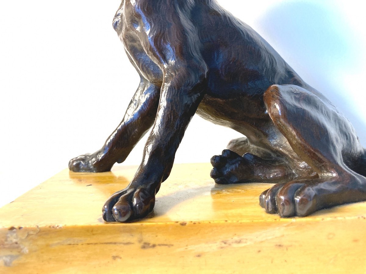 apprenez à créer une sculpture de chien assis avec notre guide étape par étape, idéal pour débutants et passionnés d'art.