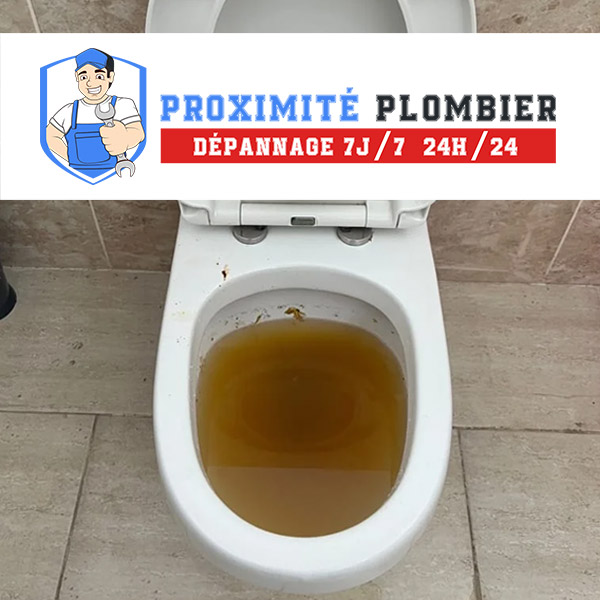 service de débouchage wc expert rapide et efficace pour éliminer tous types de bouchons. intervention professionnelle garantie 24h/24 et 7j/7.