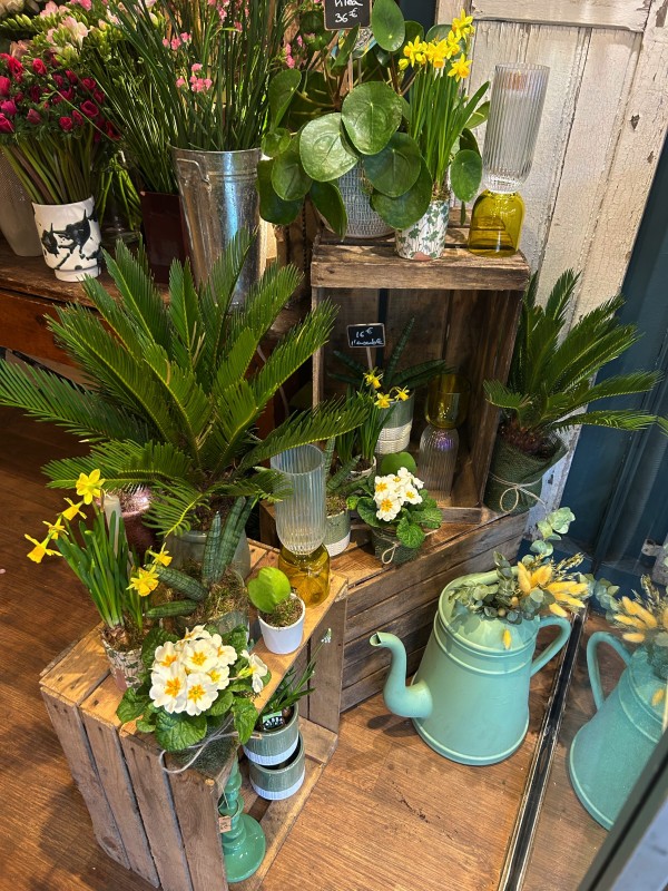 decorateur toulouse 3 découvrez un décorateur d'intérieur à toulouse pour transformer votre espace avec style et créativité. conseils personnalisés et réalisations sur mesure.