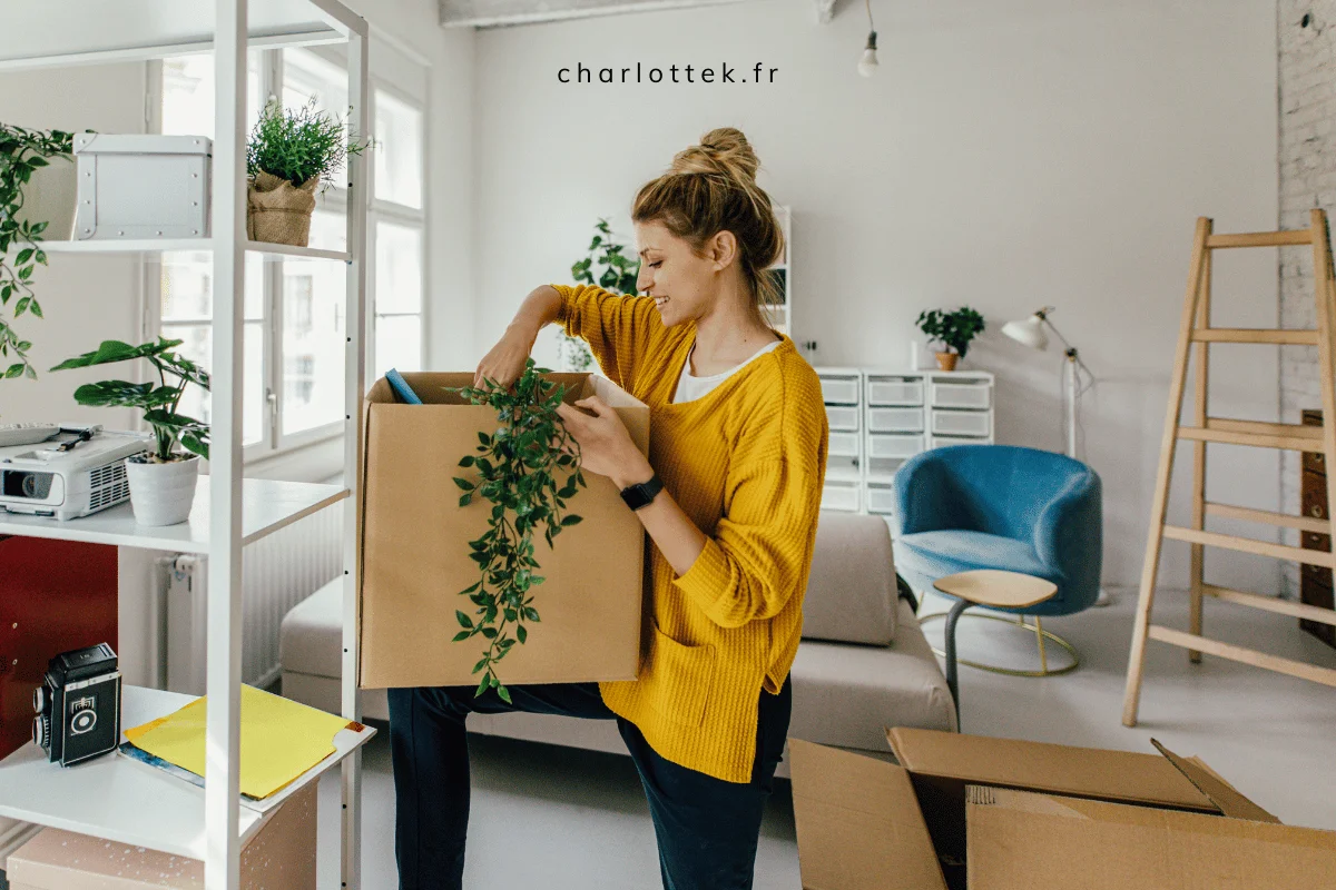 découvrez les services d'une décoratrice professionnelle pour transformer vos espaces avec style et créativité. conseils personnalisés et design sur mesure.