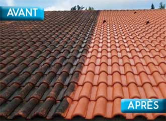 découvrez comment le démoussage des toitures revitalise l'éclat de votre maison et augmente sa valeur. conseils et astuces pour un toit propre et durable.