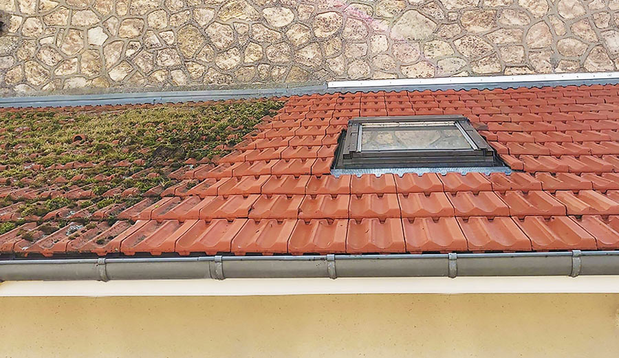 découvrez comment le démoussage des toitures redonne éclat et valeur à votre maison en protégeant vos surfaces contre les mousses et l'humidité.
