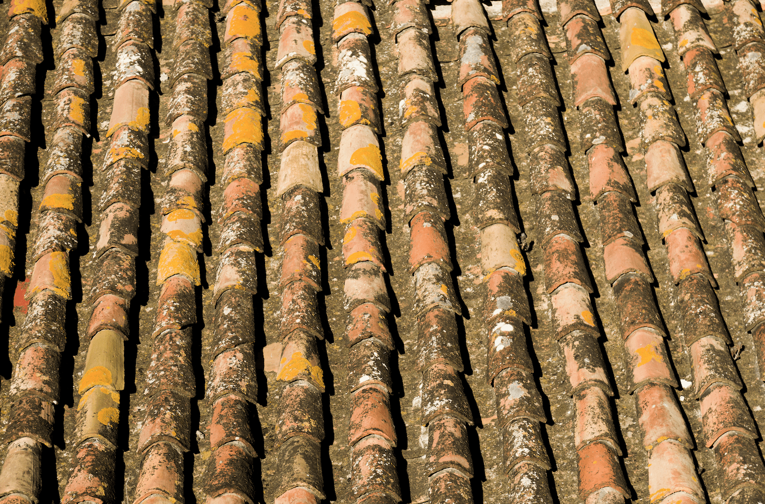 conseils et astuces pour entretenir votre toiture et prolonger sa durée de vie. guide complet pour nettoyer, réparer et protéger votre toit efficacement.