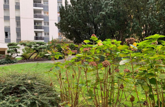 découvrez cet immeuble à rénover idéalement situé près du 15e arrondissement de paris. opportunité unique pour investisseurs ou projets immobiliers dans un quartier prisé.