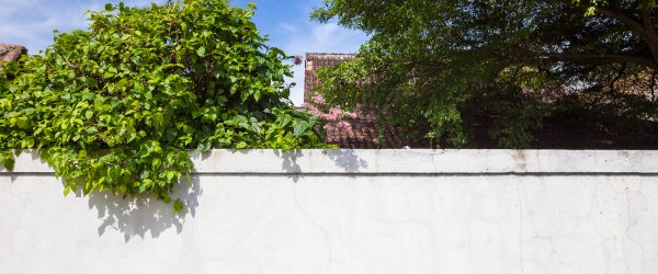 découvrez nos solutions robustes et esthétiques pour votre mur de clôture, alliant sécurité et design adapté à votre extérieur.