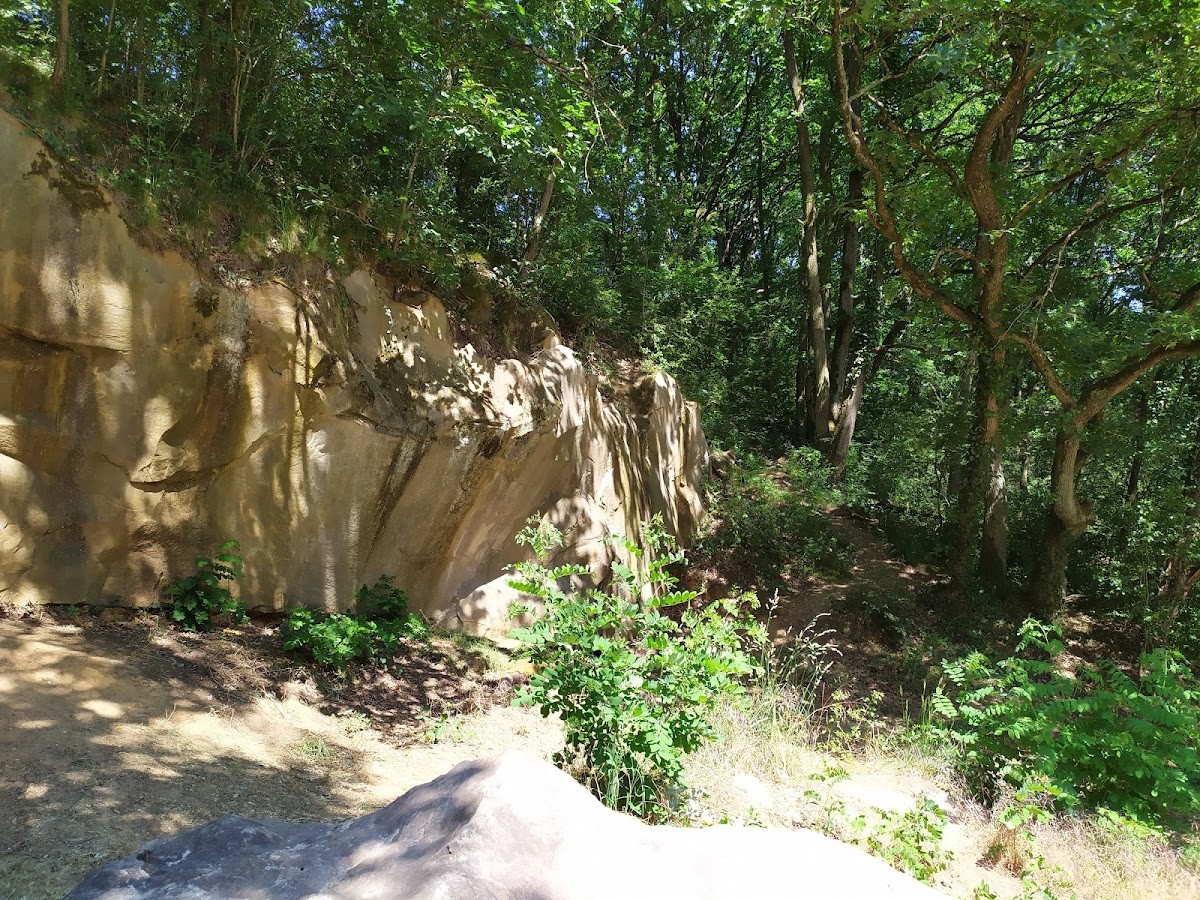 découvrez palaiseau 91120, une ville dynamique offrant un cadre de vie agréable, des activités culturelles variées et de nombreuses opportunités pour profiter pleinement de son atmosphère vivante.