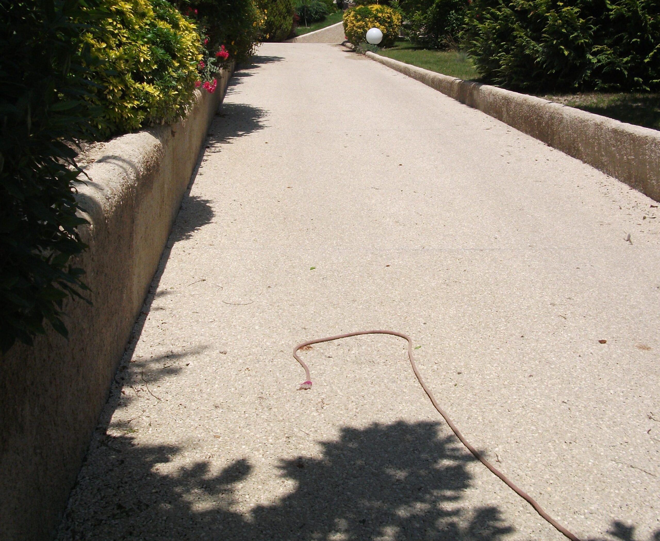 découvrez le prix de l'allée en béton désactivé pour aménager votre extérieur avec style et durabilité. obtenez un devis précis et comparez les tarifs des professionnels.