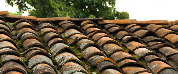 découvrez les tarifs pour le démoussage d'une surface de 100m2. obtenez un devis clair et compétitif pour un entretien efficace de votre toiture.