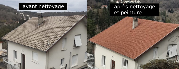 découvrez les prix du nettoyage de toiture pour entretenir votre maison efficacement. comparez les tarifs et trouvez le meilleur rapport qualité-prix pour un toit propre et durable.