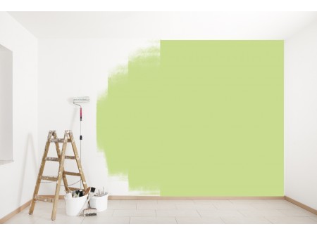 découvrez les prix de la peinture façade au m² pour estimer votre budget travaux et choisir la meilleure offre pour rafraîchir l'extérieur de votre maison.