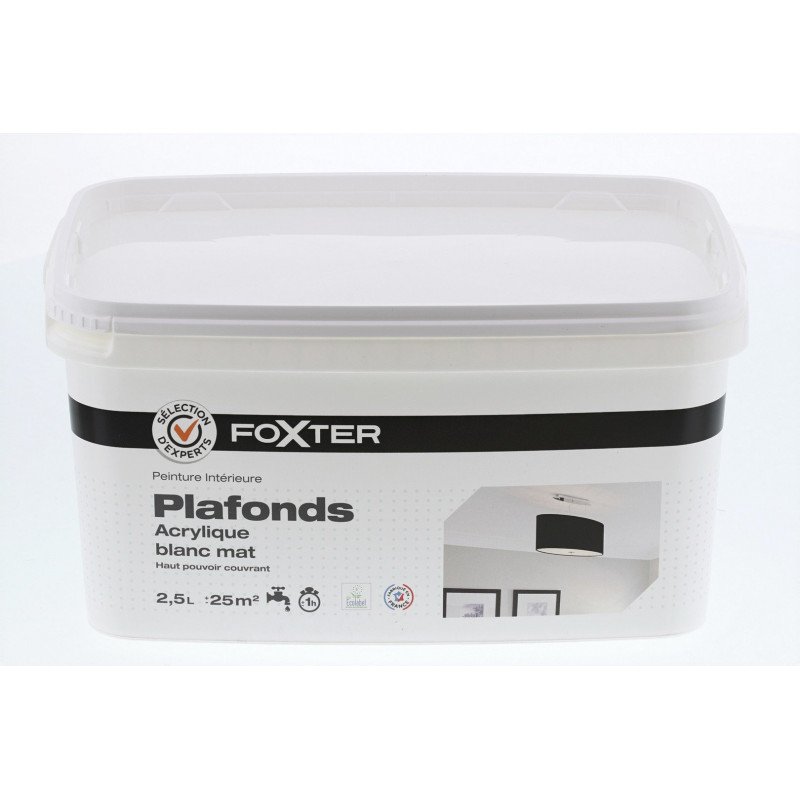 découvrez les prix moyens pour la peinture de plafond et obtenez des conseils pour choisir la meilleure option adaptée à votre budget et à votre projet.