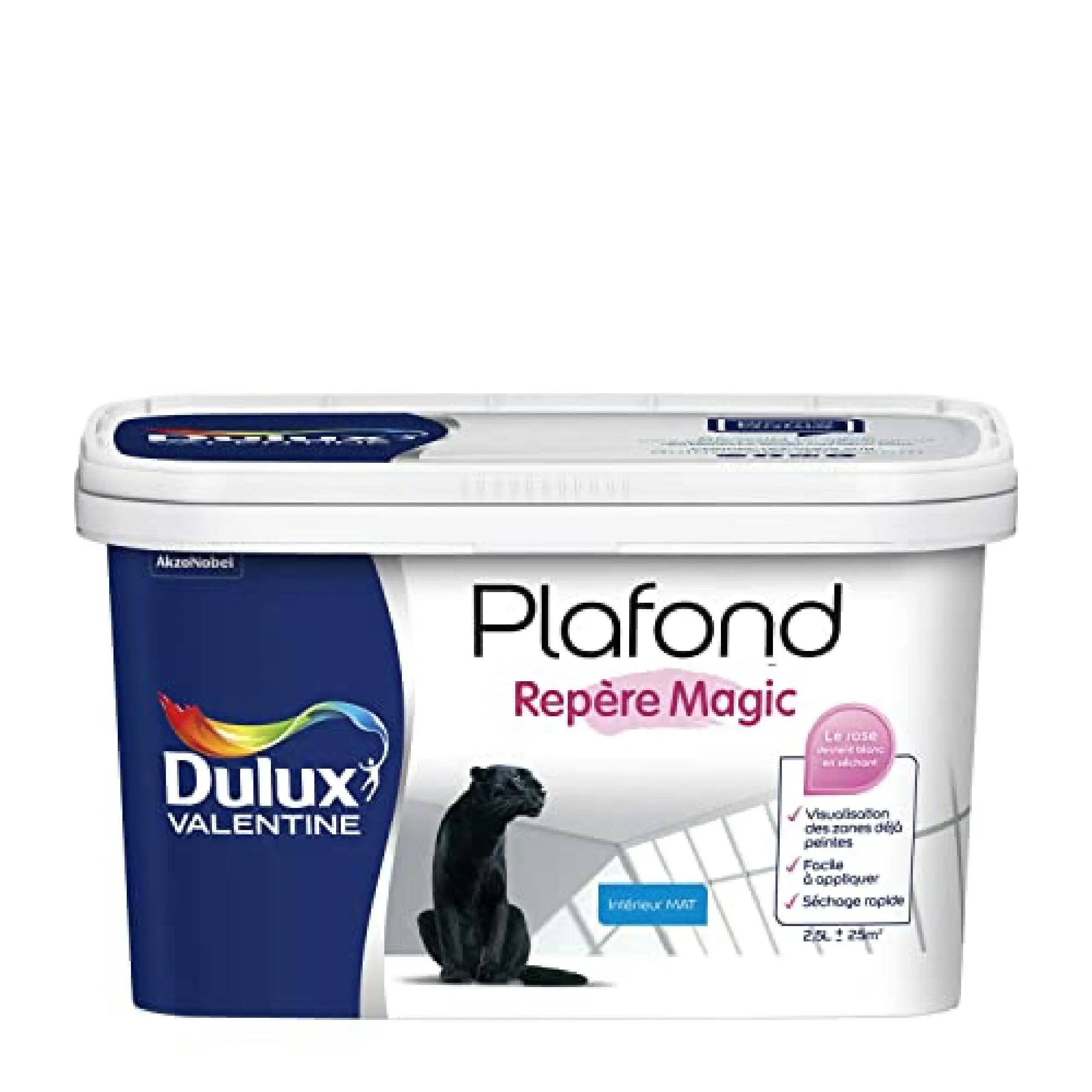 découvrez les tarifs moyens pour la peinture de plafond et choisissez la meilleure option pour votre projet de rénovation. conseils et astuces inclus.