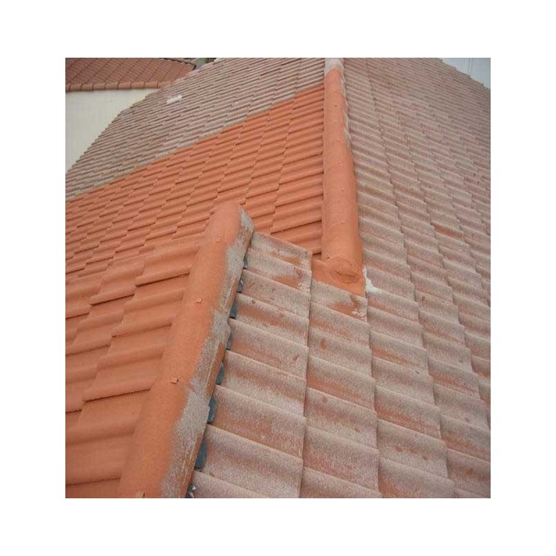 découvrez les prix moyens au m² pour la peinture de toit et obtenez des conseils pour choisir la meilleure option selon votre budget et type de toiture.