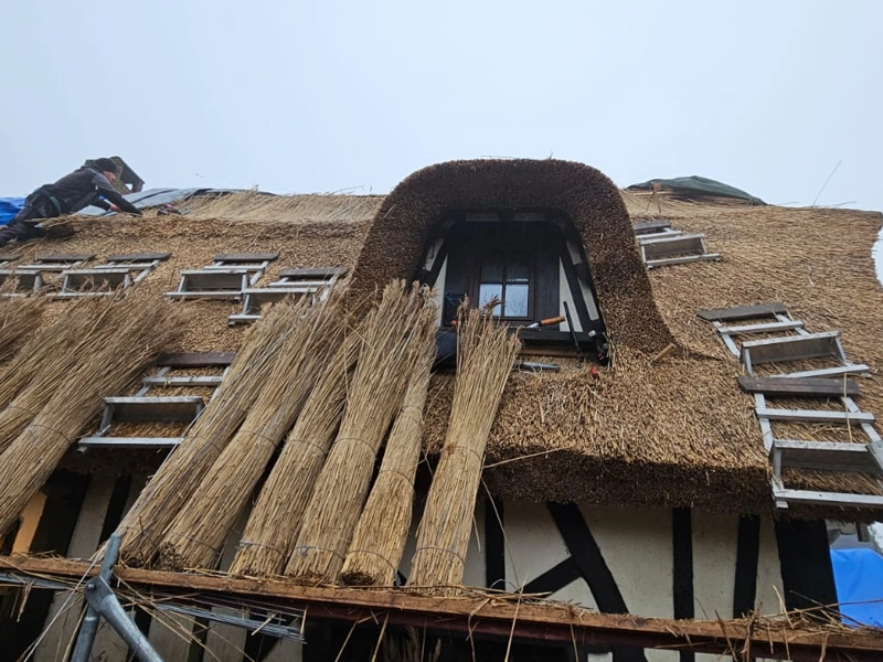 découvrez les tarifs estimés pour la rénovation et l'installation de toiture en 2025. comparez les prix, matériaux et services pour un projet réussi.