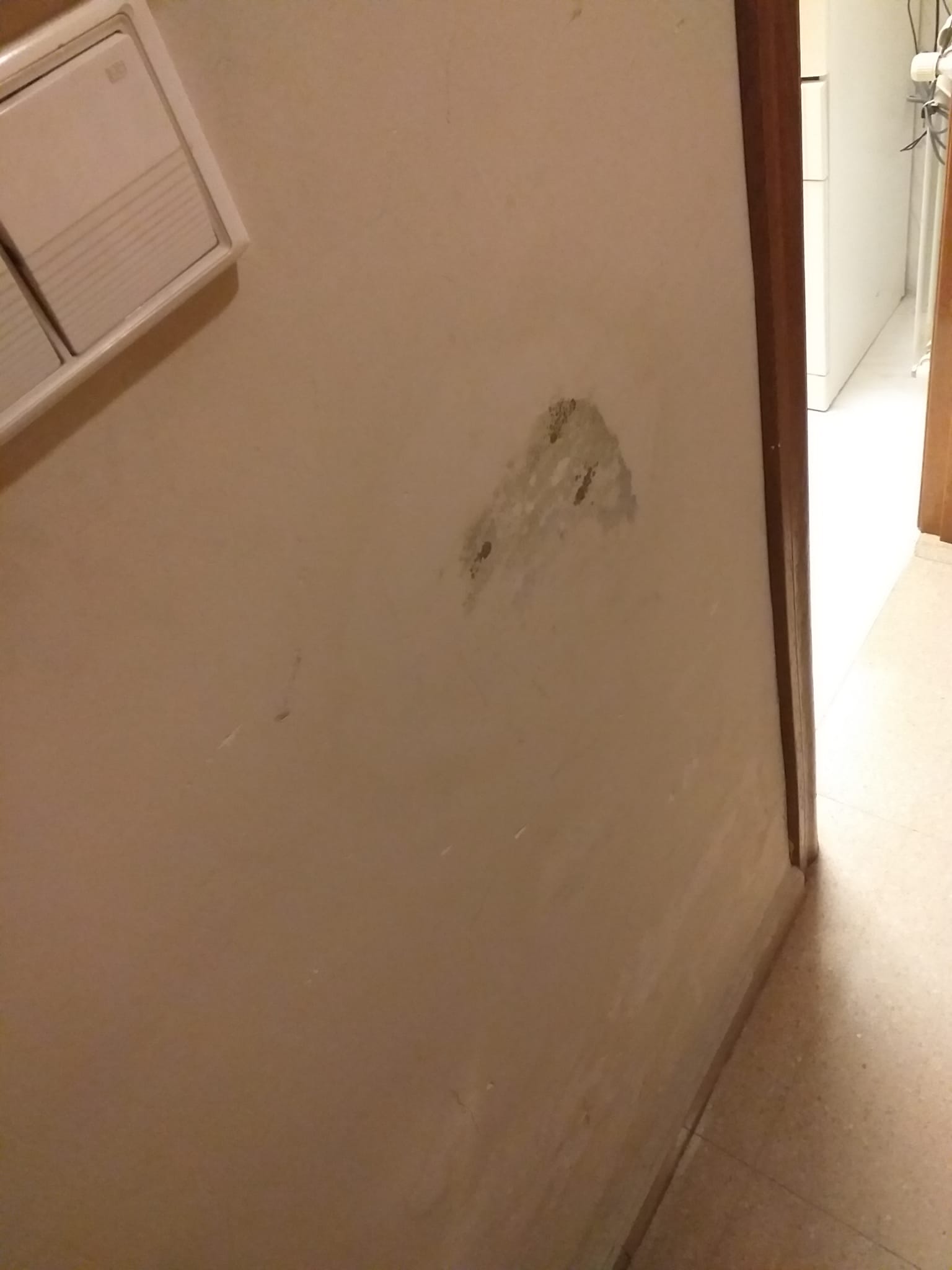 découvrez nos solutions efficaces pour réparer une fuite dans votre salle de bain rapidement et éviter les dégâts d'eau.