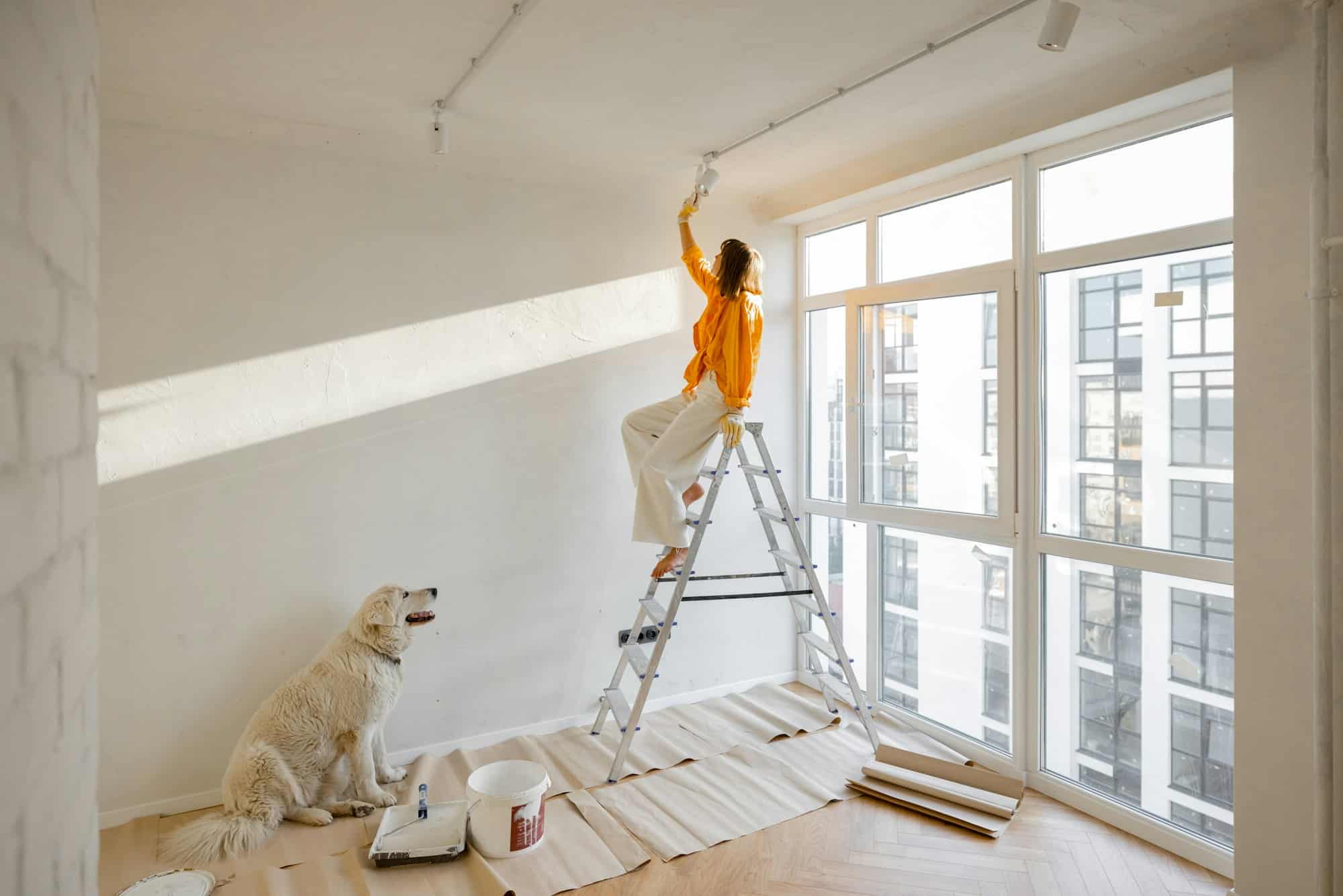 découvrez les secrets de la rénovation maison pour transformer votre intérieur avec des astuces pratiques, conseils d'experts et idées inspirantes.
