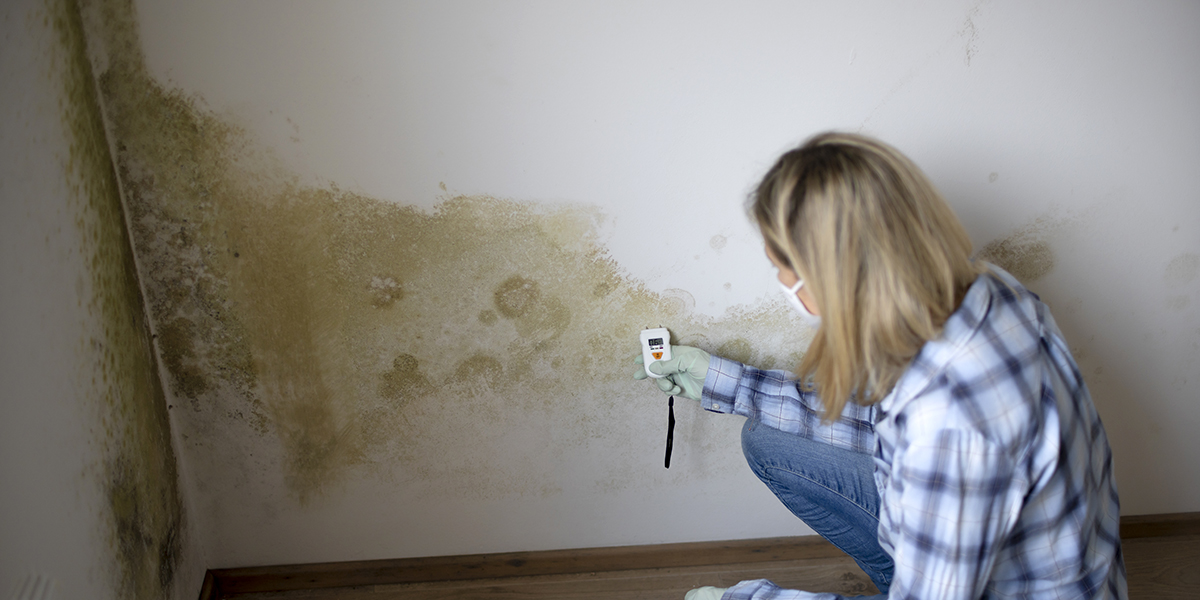 découvrez des solutions efficaces pour lutter contre l'humidité dans votre maison et préserver un environnement sain et confortable.